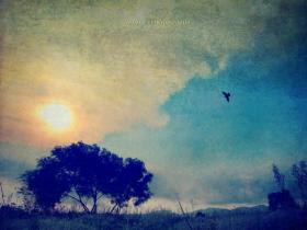 印象厦门·梦折了