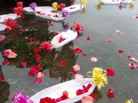 4月6日,厦门将举行集体海葬活动