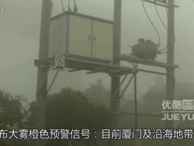 2012年3月17日·厦门现罕见大雾