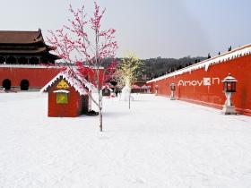 三八节到同安“看雪”赏花咯