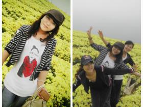 厦门最大的花海·美爆你的双眼