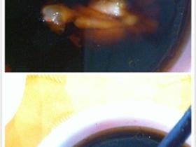 田鸡用醋能泡出虫子来·已被证实