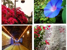 厦门铁路公园·谱写你我的故事