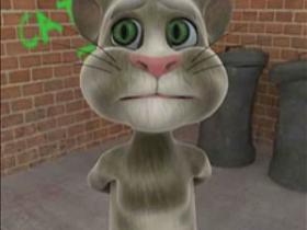 闽南语汤姆猫:厦门学校大集合