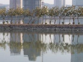 时隔八年·厦门筼筜湖的变化