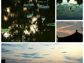 在植物园体验闲云野鹤般的生活