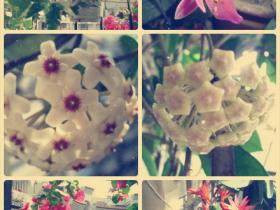 五一后的第一天,大家准备好了吗