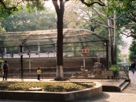 儿时的回忆:厦门中山公园