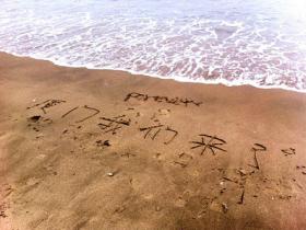 厦门全新"黄金海岸",你会牵谁的手走过?