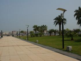 海沧区政府出现眼镜蛇咬人事件