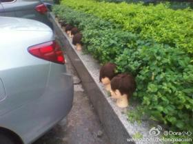 厦门火车站地下商场惊现“晒人头”