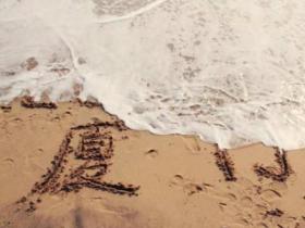 我是百毒不侵的厦门人