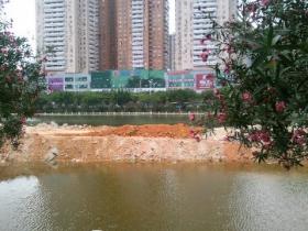 厦门筼筜湖被填?综合整治令人费解