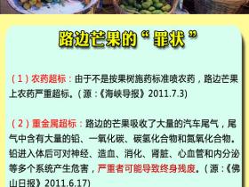 厦门八市疑售马路边“毒芒果”