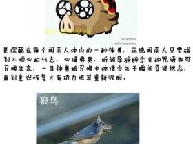 终极完结篇:闽南地区的各大神兽及卡通人物
