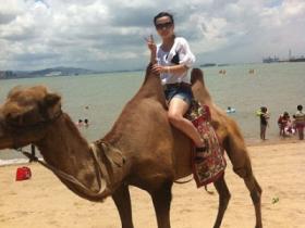 厦门环岛路海边的骆驼，你骑过吗？