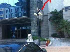 厦门考拉哥:在3米高的路灯上过夜