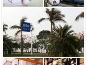 曾厝垵(zeng cuo an)