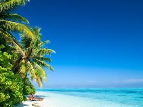 会展中心沙滩下月完工 将种植海葡萄等