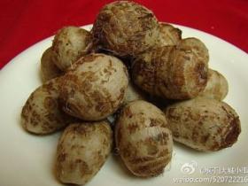 冤枉啊,我是真心想教你闽南话