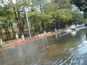 晴天也有洪水:海水倒灌厦门多处道路被淹