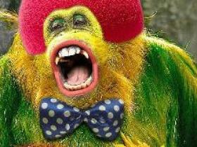 一起到厦门看马戏团:全球一流马戏城落户集美