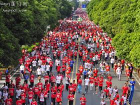 2013厦门国际马拉松赛:现场照片集