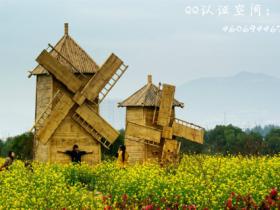 厦门10个踏春赏花处，你去过几个？