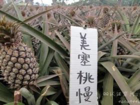 闽南的孩子才懂滴!你知道虾米意思吗?