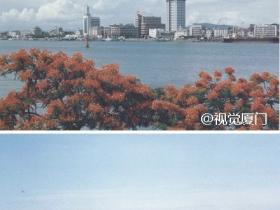厦门老照片:1991年的厦门