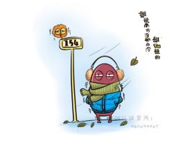 受不鸟! 厦门今天岛外最低温降至3℃