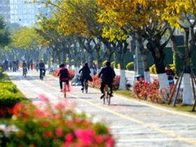 海沧绿色骑行道,太美了