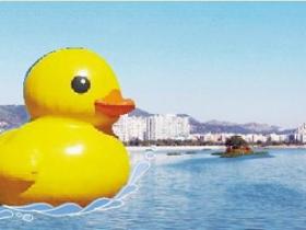 奔走相告吧!巨无霸大黄鸭将栖息厦门海沧湖