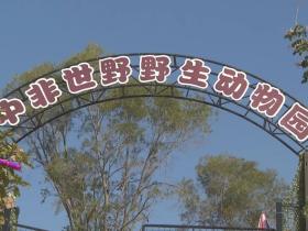 厦门新野生动物园来了:翔安中非世野野生动物园正式开园