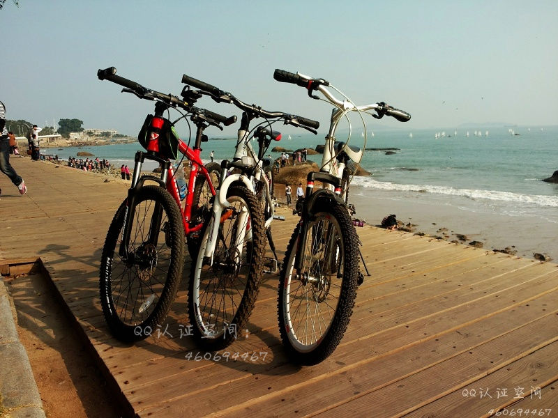 厦门欲造848公里滨海绿道网 骑自行车就可游遍全城