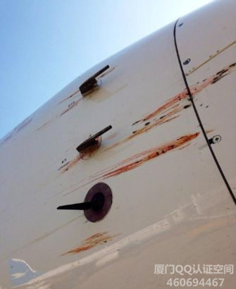 天呐！网曝厦航一飞机撞鸟，机身血迹斑斑